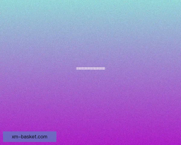 熊猫体育功能全面体验感受与使用效果详解