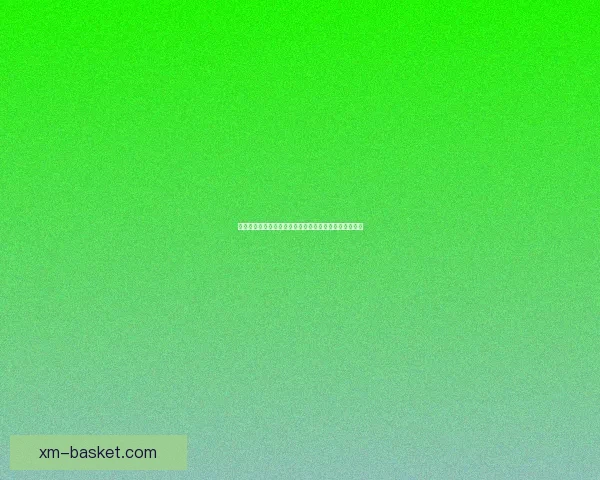 熊猫体育全新赛事资讯平台引领全民健身热潮与运动潮流