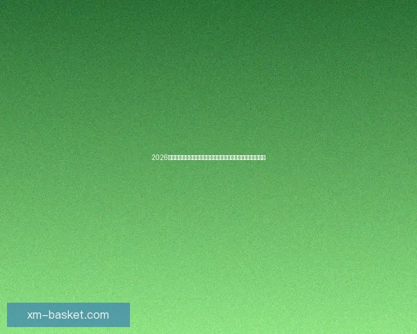 2026年加拿大世界杯球场设计与建设全景解析，创新与历史交汇之地