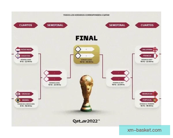 世界杯竞猜赔率深度解析与热门球队胜负走势全面分析